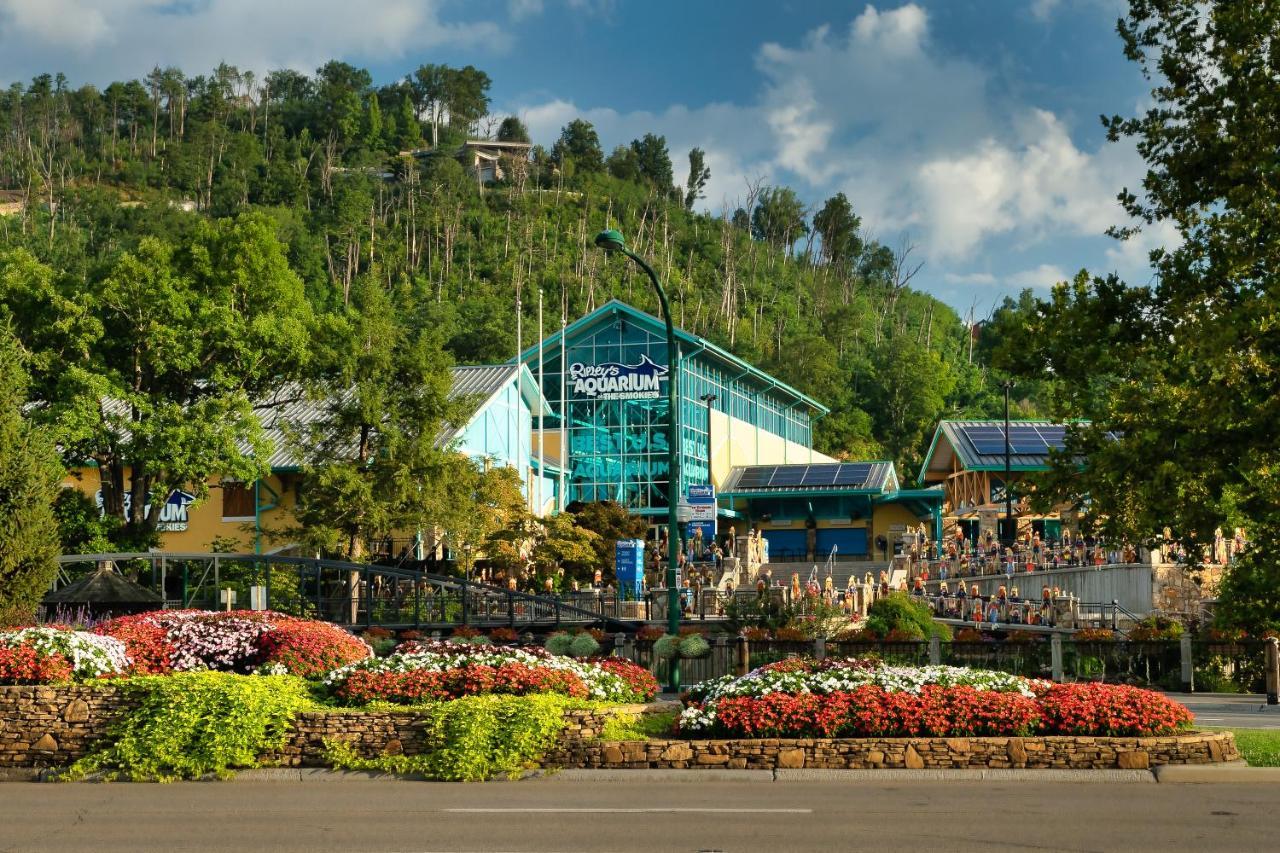 Bluebearry Patch Gatlinburg Exterior photo